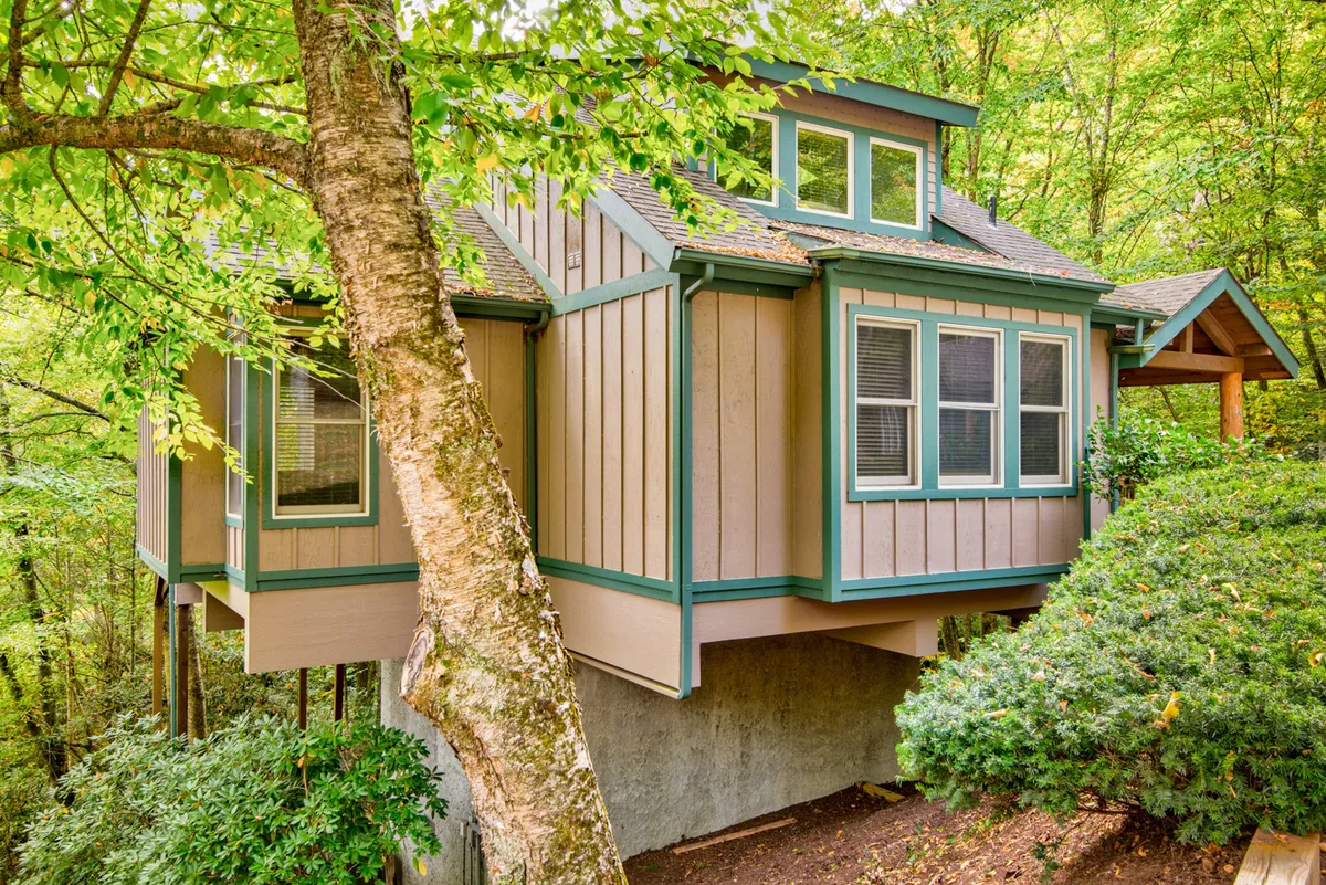 This image shows the elevated structure of The Tree House nestled among lush greenery, with large windows offering glimpses into the inviting interior. The surrounding forest hints at nearby nature trails and opportunities for outdoor relaxation.